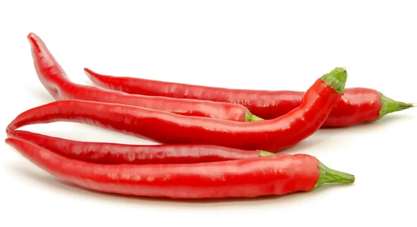 Červené chilli — Stock fotografie