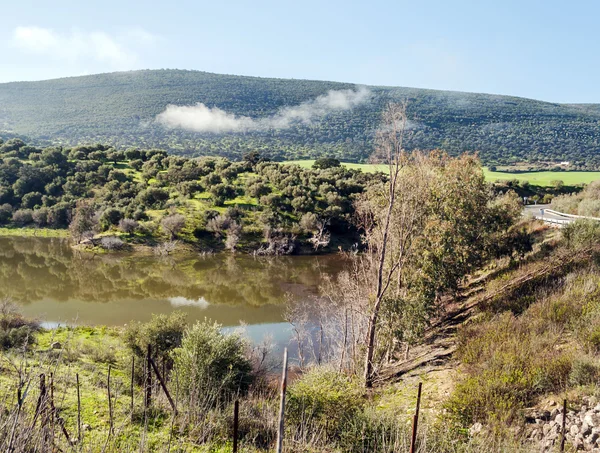 Lake surrounded by greenery — Stockfoto