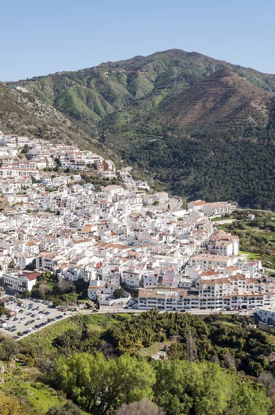 Ojer en las montañas — Foto de Stock