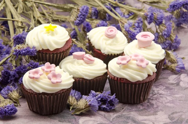 Cupcakes — Fotografia de Stock