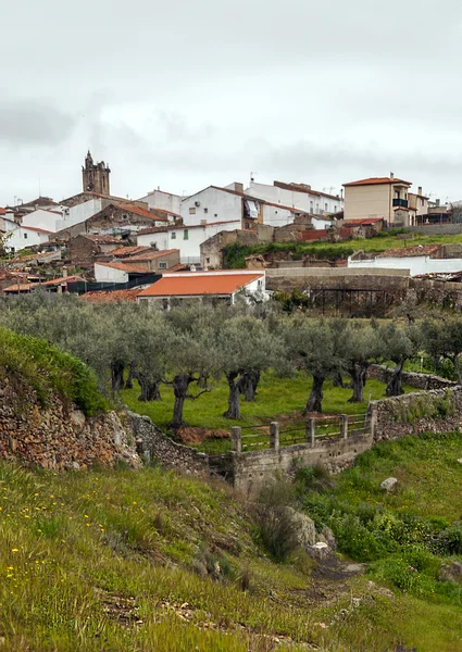 Caaveral — Stok fotoğraf