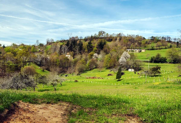 Asturian fields — Stock Photo, Image