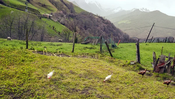Farma v Asturii — Stock fotografie