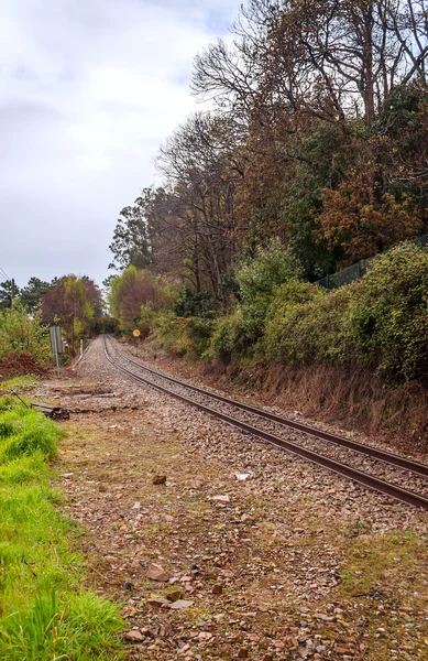 Tren rayları — Stok fotoğraf