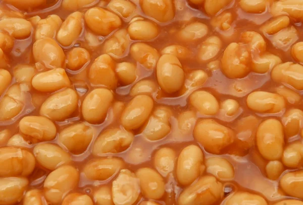 Frijoles — Foto de Stock