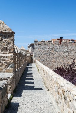 Kule şehir duvarları