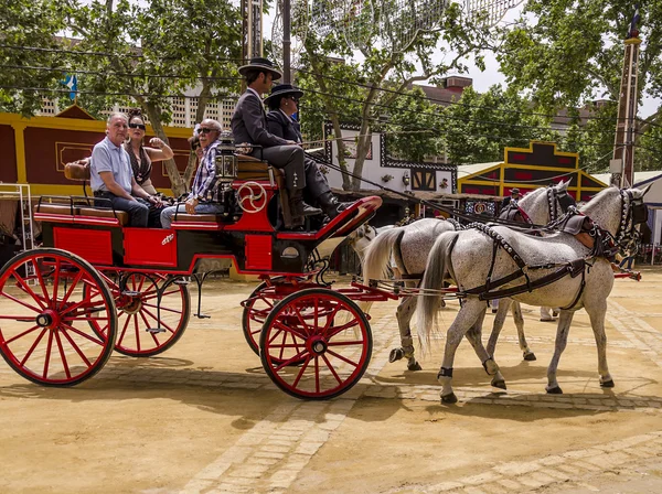 Transporte de cavalos — Fotografia de Stock