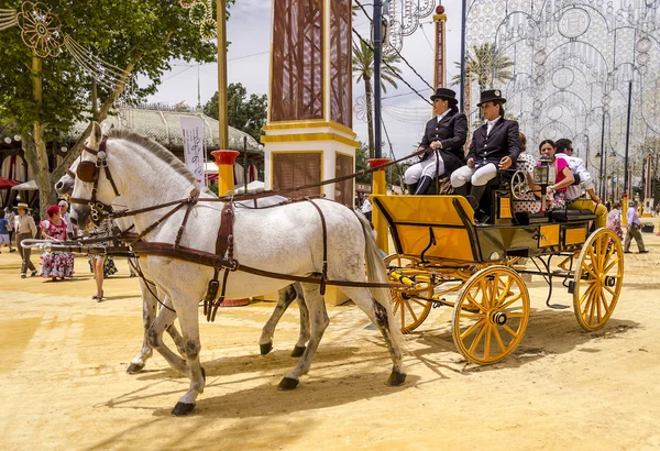 Carriage of horses — Stock Photo, Image