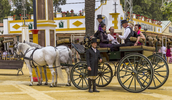 Carriage of horses