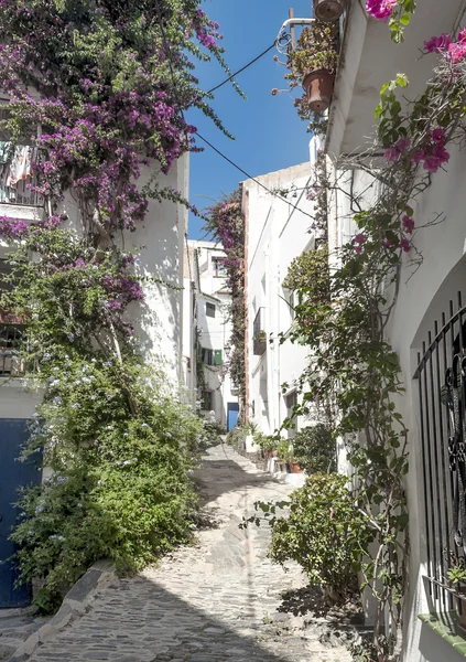 Cadaques street 免版税图库照片