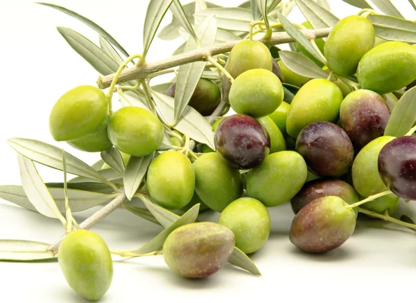 Olive — Foto Stock