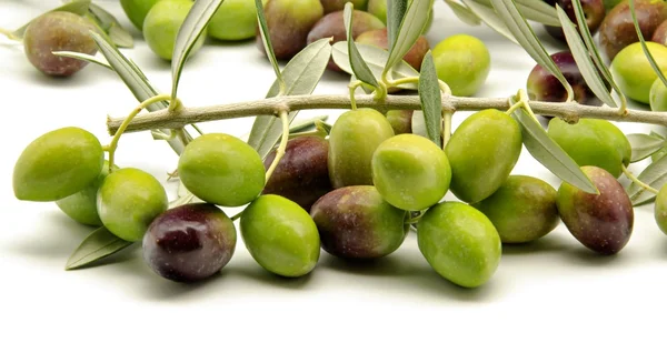 Olive — Foto Stock