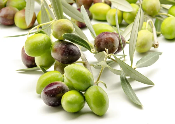 Olives — Stock Photo, Image