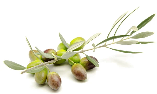 Olives — Stock Photo, Image