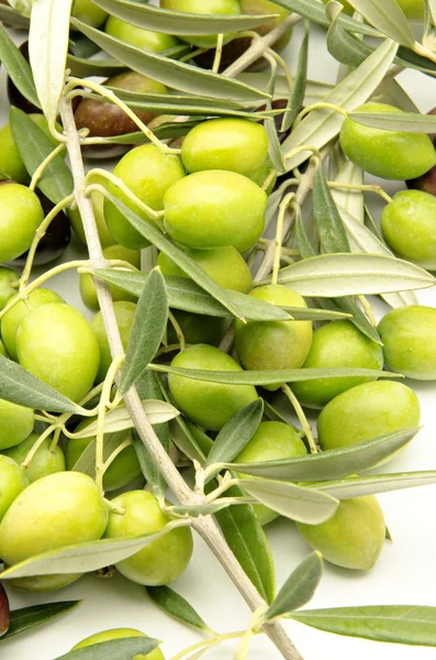 Olives — Stock Photo, Image