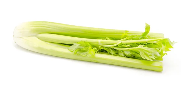 Celery — Stock Photo, Image