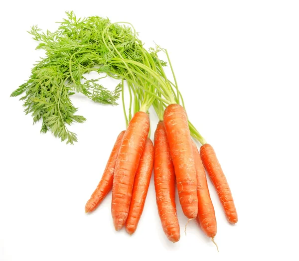 Carrots — Stock Photo, Image