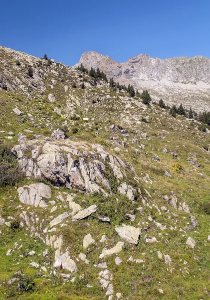 Valle di Eriste — Foto Stock