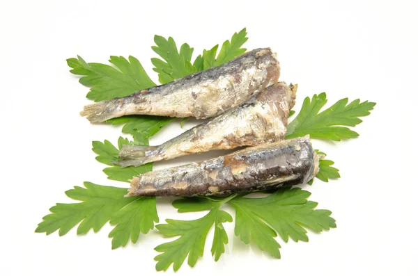 Konserverade sardiner i olivolja — Stockfoto