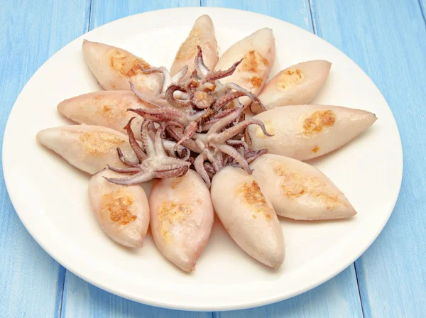 Squid — Stock Photo, Image