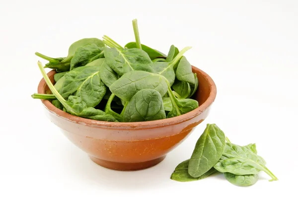 Spinach — Stock Photo, Image