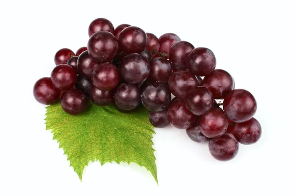 Ripe red grapes with leaf — Stock Photo, Image
