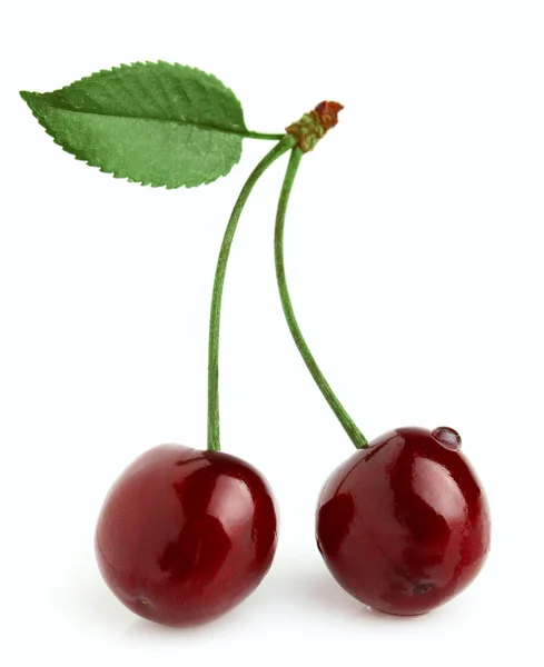 Two cherries on a branch — Stock Photo, Image