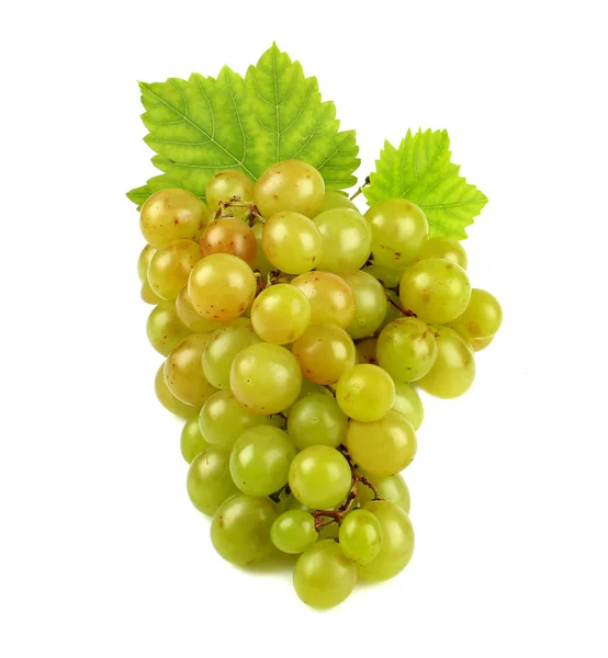 White grapes with leaves — Stock Photo, Image