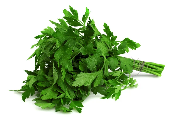 Bunch of fresh parsley — Stock Photo, Image