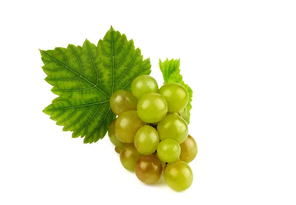 Green grape with leaf — Stock Photo, Image