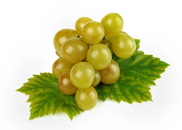Зеленый спелый виноград — стоковое фото