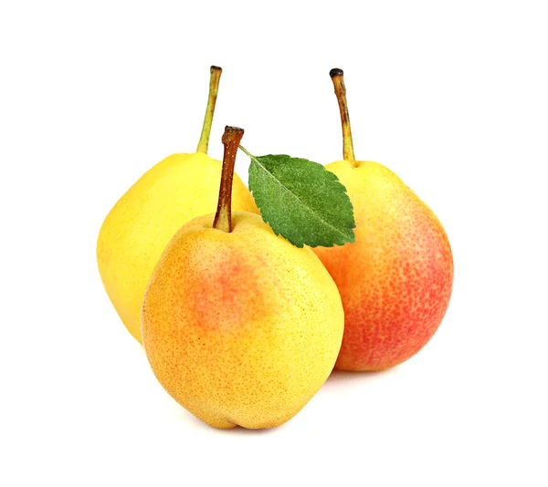 Drie rijpe gele peren op een witte achtergrond — Stockfoto