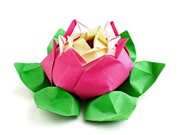 Flower origami — Stock Photo, Image