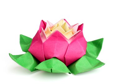 Lotus origami