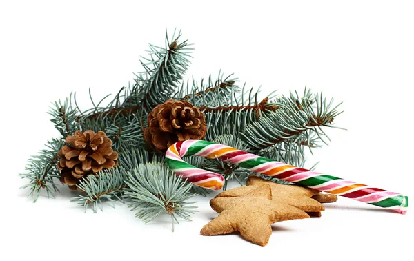 Christmas candy with a branch of spruce — Stock Photo, Image