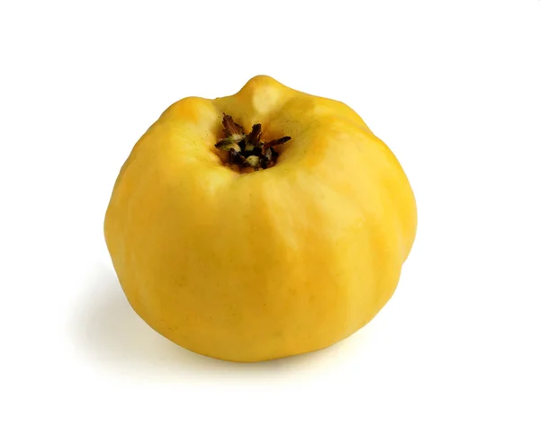 Close-up of quince on white background — Stock Photo, Image