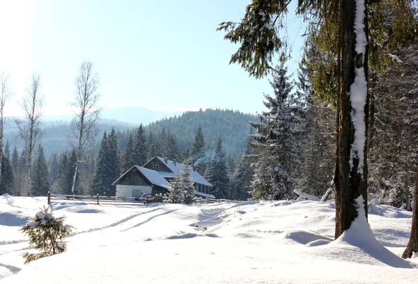 Karpatlar'ın ahşap evde