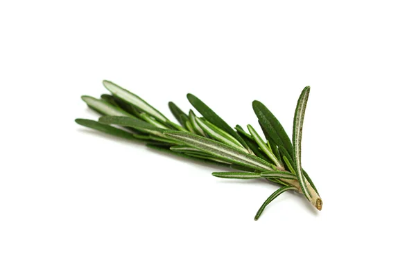 A sprig of fresh rosemary isolated on white background — Stock Photo, Image