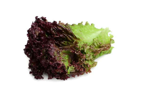 Kırmızı yaprak marul.