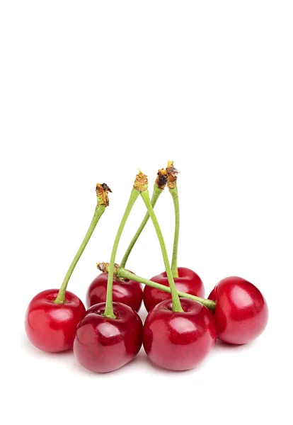 Cherry. — Stock Photo, Image