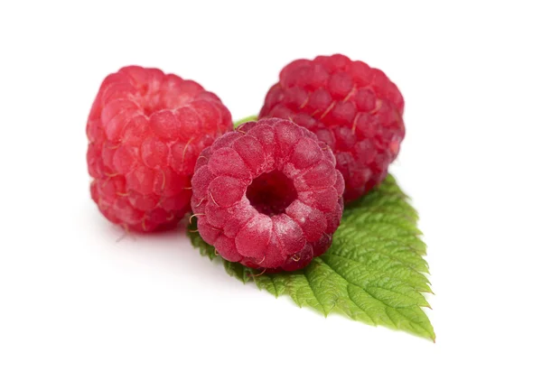 Three raspberry close-up. — Stock Photo, Image