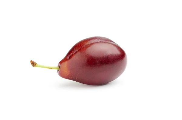 Plum berbusa — Stok Foto