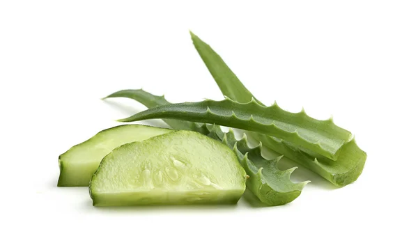 Aloe en komkommer — Stockfoto