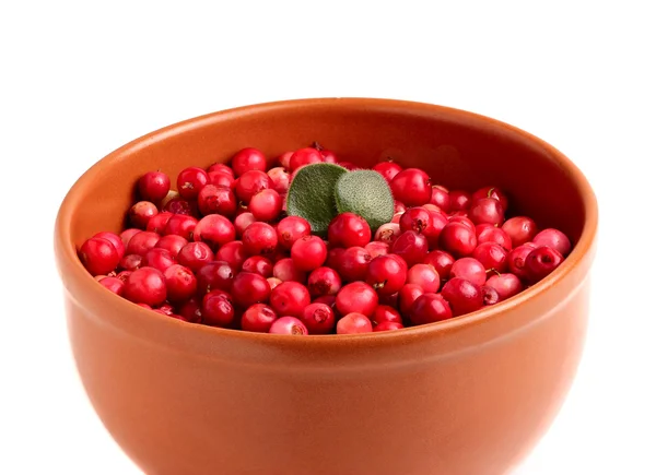 Cranberries de bagas em uma tigela . — Fotografia de Stock