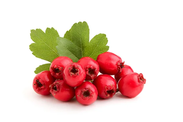 Red hawthorn berries with leaves. — Stock Photo, Image