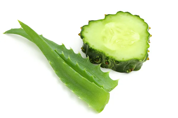 Aloe and cucumber — Stock Photo, Image