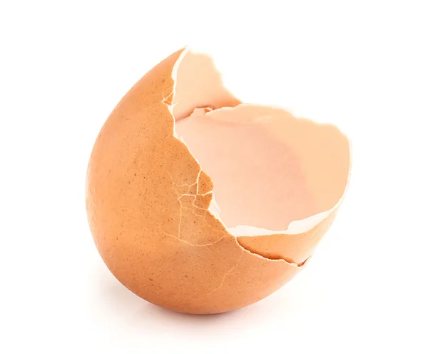 izole yumurta kabukları yakın çekim.