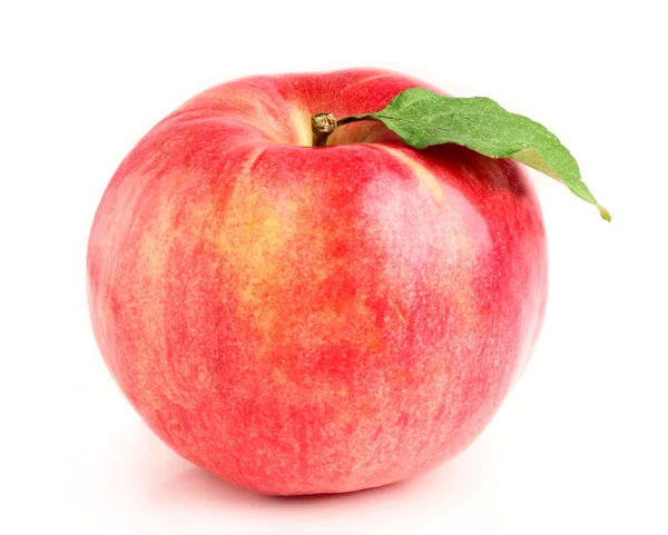 Red and yellow apple with a leaf — Stock Photo, Image