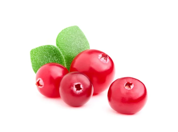 Cranberries maduras com folhas . — Fotografia de Stock