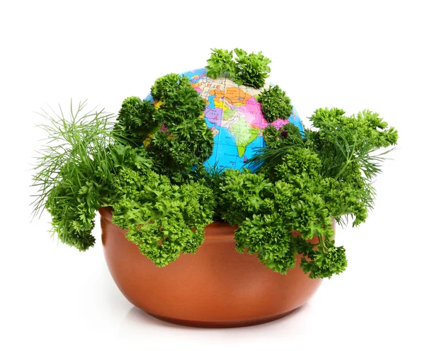 Eko yiyecek. Küre ve otlar.